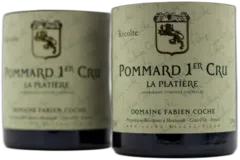 aperçu du vin Fabien Coche Pommard 1er Cru la Platière 2021