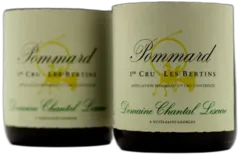 image du vin Chantal Lescure Pommard 1er Cru les Bertins 2020