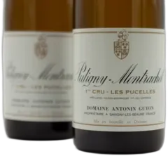 vue du vin Antonin Guyon Puligny-Montrachet 1er Cru les Pucelles 2021