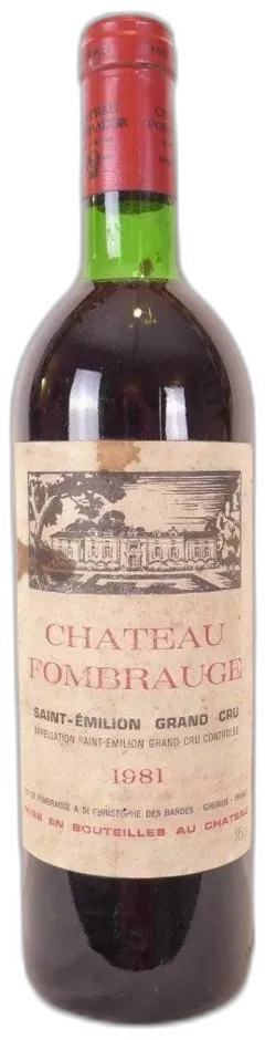 vue du vin Château Fombrauge