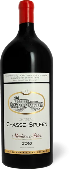 photo du vin Château Chasse-Spleen 2016 Moulis