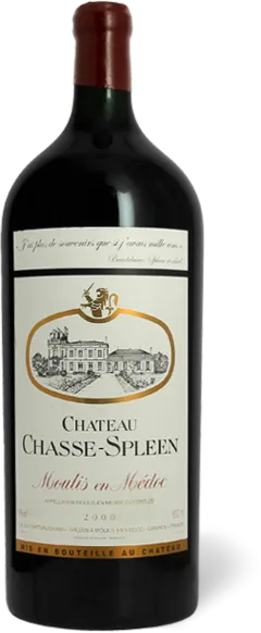 photo du vin Château Chasse-Spleen