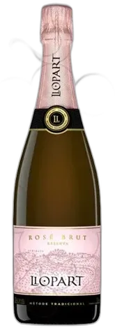 vue du vin Llopart Brut Magnum