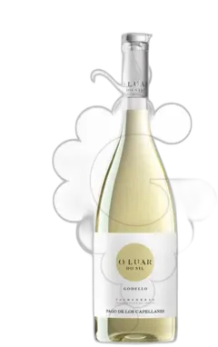 photo du vin o Luar do Sil Godello