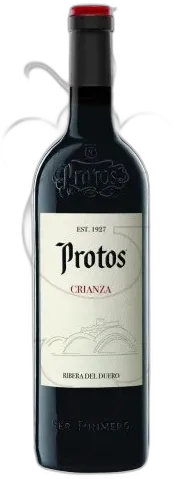 vue du vin Protos Roble