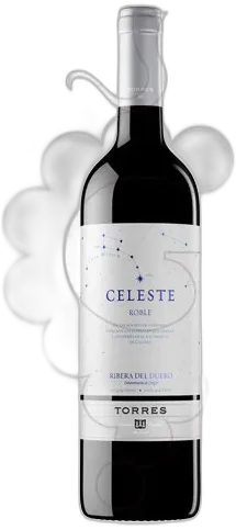vue du vin Celeste Roble
