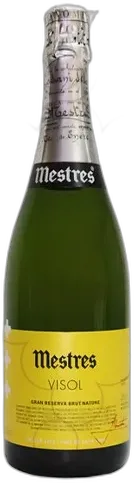 vue du vin Mestres Mas Via