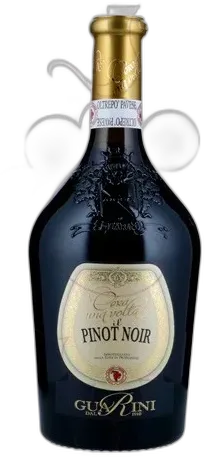 vue du vin Guarini Pinot Nero