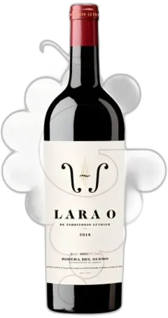 image du vin Territorio Luthier Reserva