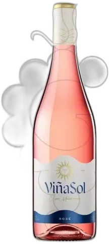 vue du vin Viña Sol