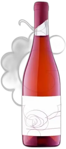 image du vin Vinyes Singulars Sumoll Amphore