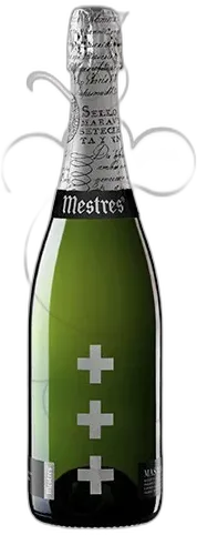 vue du vin Mestres Mas Via