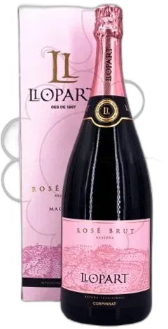 vue du vin Llopart Brut Magnum