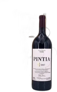 photo du vin Pintia Magnum
