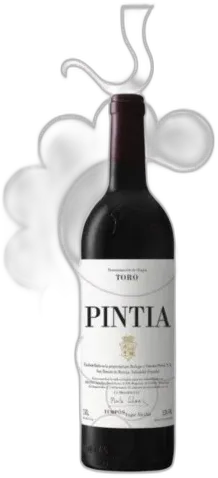 image du vin Pintia