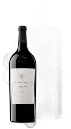 photo du vin Pago de Los Capellanes el Nogal