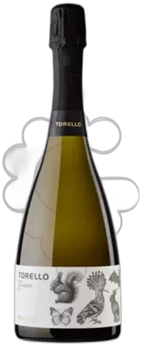 image du vin Torelló Finca Can Martí