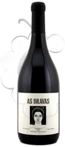 illustration du vin el Enemigo as Bravas Malbec