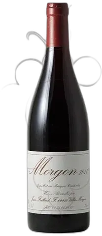 vue du vin Jean Foillard Morgon Côte du py 2022