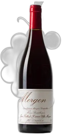 photo du vin Foillard Morgon Classique