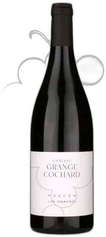 vue du vin Grange Cochard Morgon les Charmes