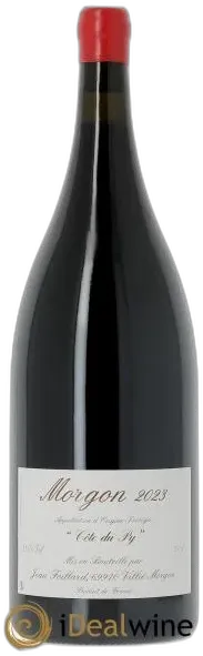 vue du vin Morgon Côte du py Jean Foillard