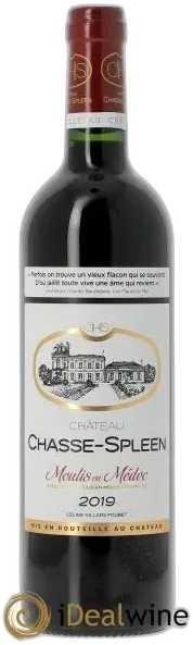 image du vin Château Chasse Spleen 2019