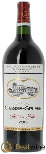 illustration du vin Château Chasse Spleen 2015