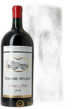 illustration du vin Château Chasse Spleen 2015