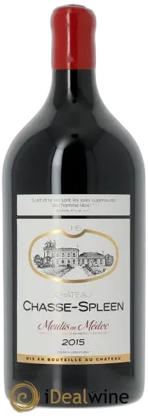 illustration du vin Château Chasse Spleen 2015