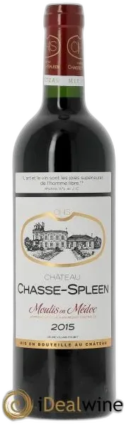 illustration du vin Château Chasse Spleen 2015