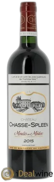 illustration du vin Château Chasse Spleen 2015