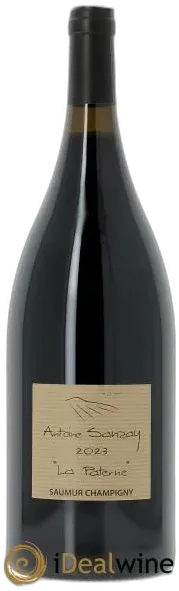 vue du vin Saumur-Champigny la Paterne 2023