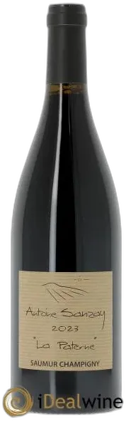 vue du vin Saumur-Champigny la Paterne 2023