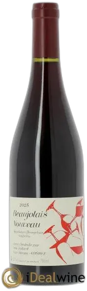 photo du vin Beaujolais Nouveau Jean Foillard 2025