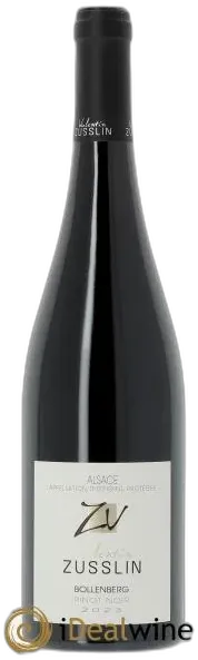 vue du vin Alsace Pinot Noir Bollenberg Valentin Zusslin