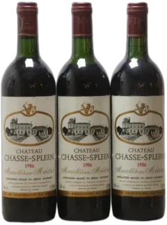 image du vin Château Chasse Spleen 1986
