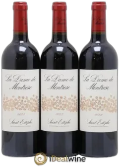 illustration du vin la Dame de Montrose 2022