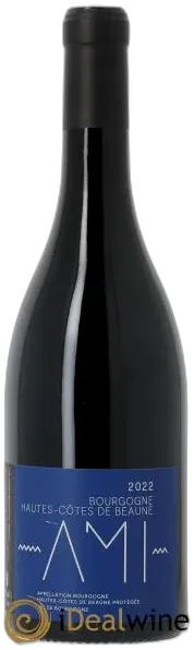 vue du vin Hautes-Côtes de Beaune Ami