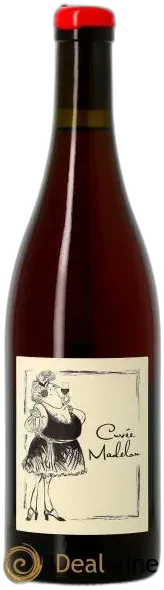 vue du vin Vin de France Madelon Anne et Jean François Ganevat