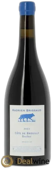 illustration du vin Côte de Brouilly Brulhié Hadrien Brissaud