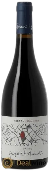 vue du vin Morgon Corcelette Grégoire Hoppenot 2022