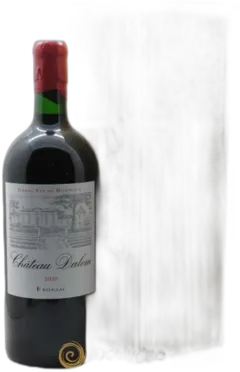 illustration du vin Château Dalem 2020