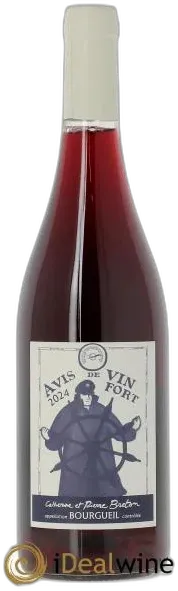 vue du vin Bourgueil Avis de Vin Fort Catherine et Pierre Breton