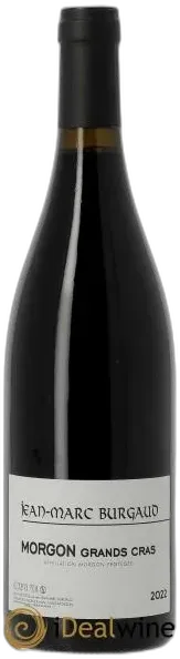 vue du vin Morgon Grand Cras Jean-Marc Burgaud