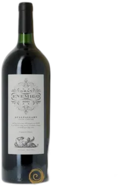 photo du vin Mendoza Gran Enemigo Gualtallary Single Vineyard el Enemigo