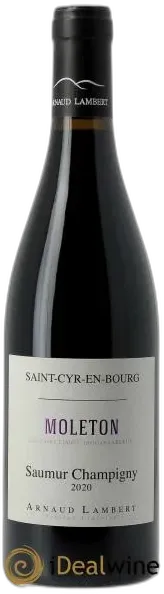 illustration du vin Saumur-Champigny Moleton Arnaud Lambert 2020