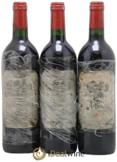 vue du vin Château les Ormes de Pez 2000