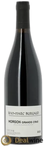 vue du vin Morgon Grand Cras Jean-Marc Burgaud