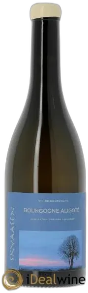 illustration du vin Bourgogne Aligoté Maison Skyaasen 2023